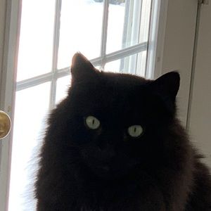 Meet your Posher, Leigh-ellen